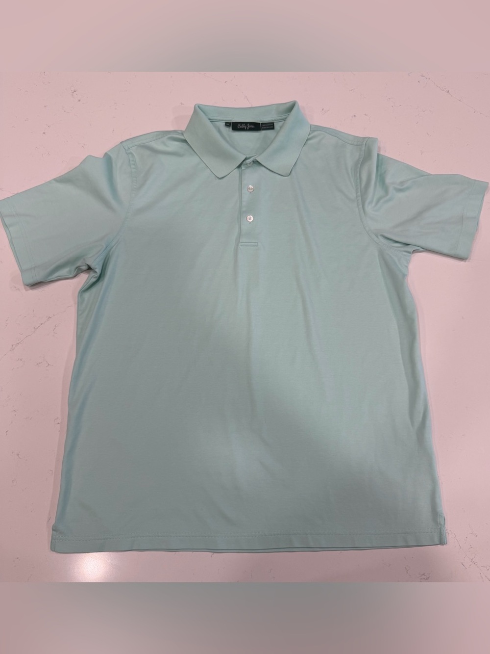 Bobby Jones Men's Polo Shirt in Light Mint - XL